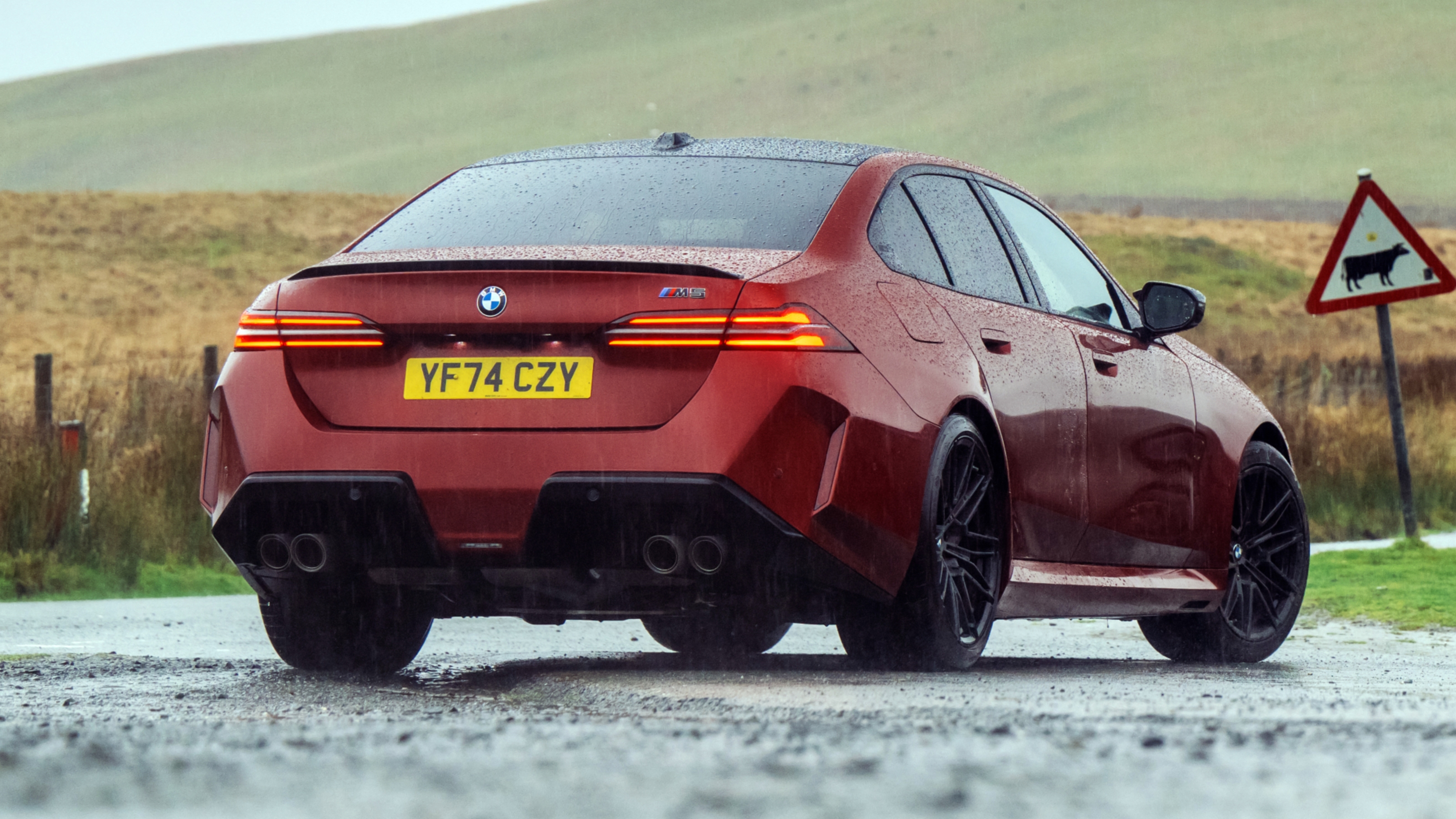 BMW M5 rear