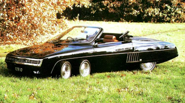 Panther Six