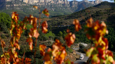 WRC Spain Al Qassimi
