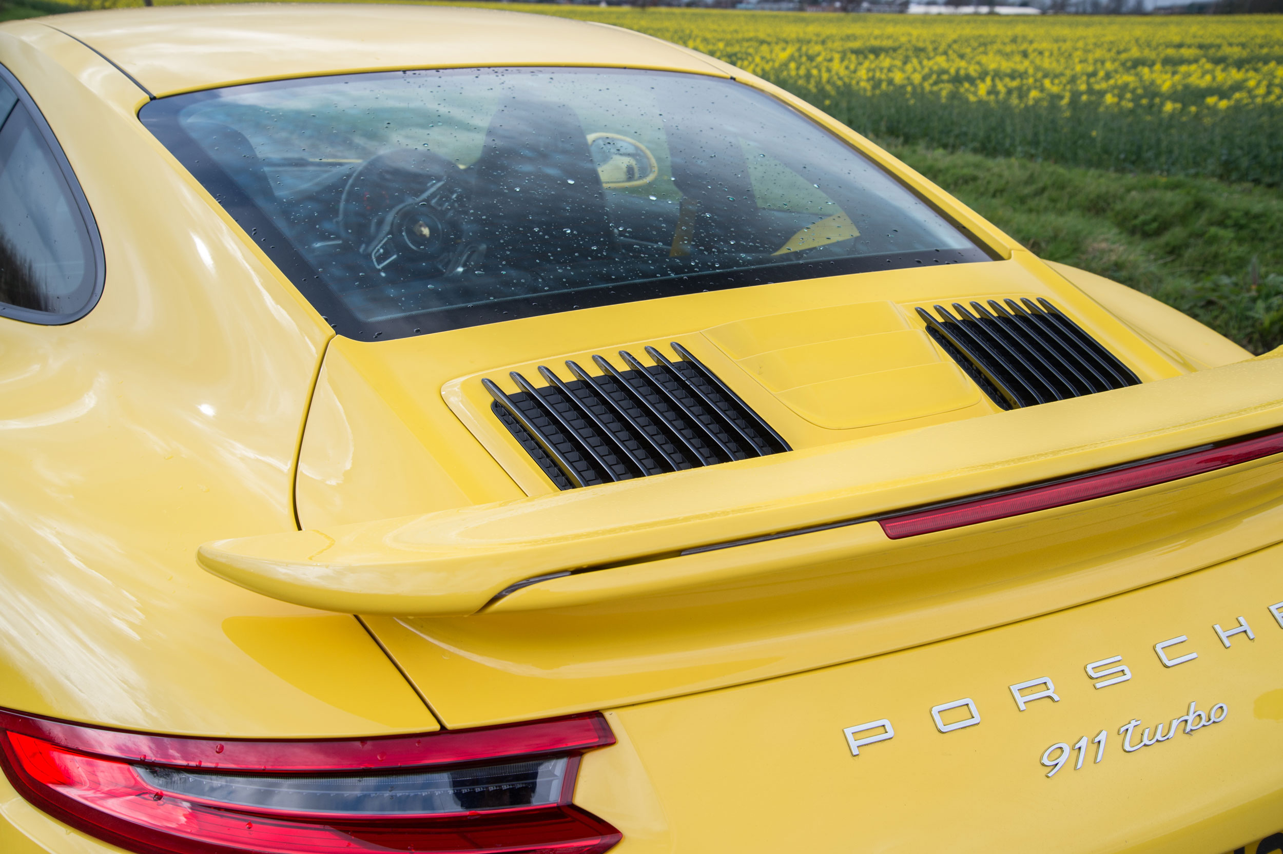 991.2 Porsche 911 Turbo S - rear static