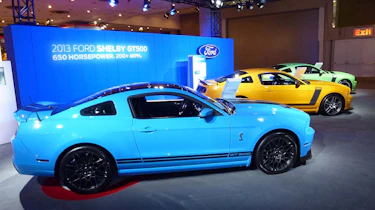 Ford Mustangs