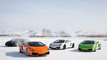 Lamborghini Gallardos in Mongolia