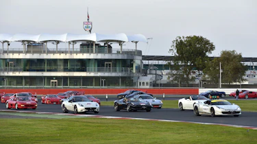 Largest parade of Ferraris ever
