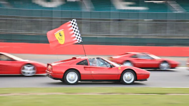 Largest parade of Ferraris ever