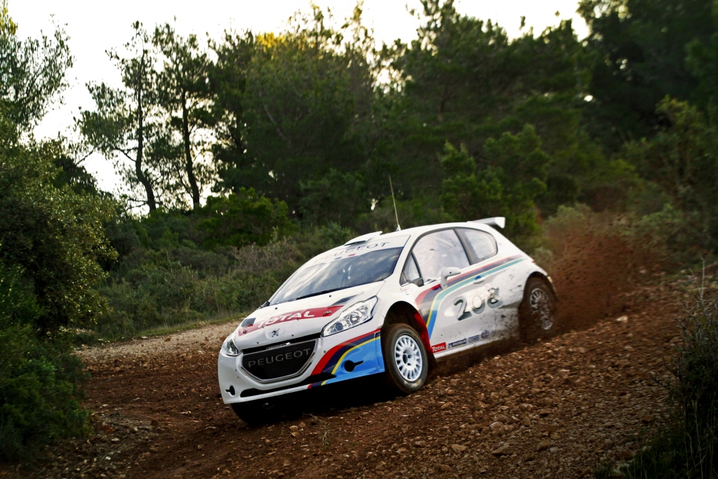 Peugeot 208 T16 rally car