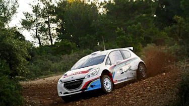 Peugeot 208 T16 rally car