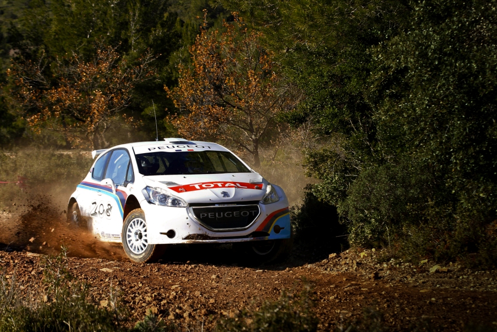 Peugeot 208 T16 rally car