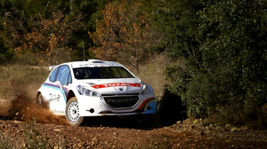 Peugeot 208 T16 rally car