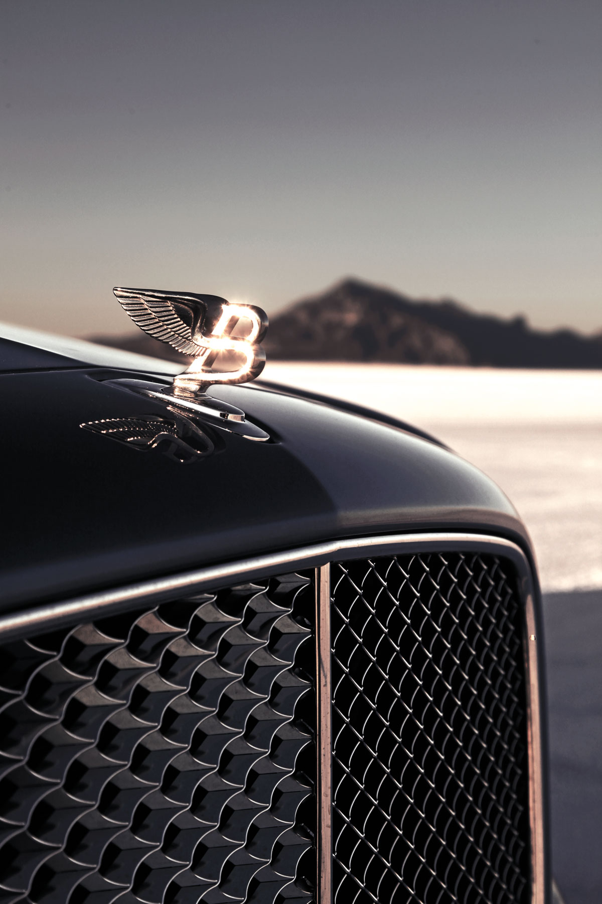 Bentley Mulsanne badge