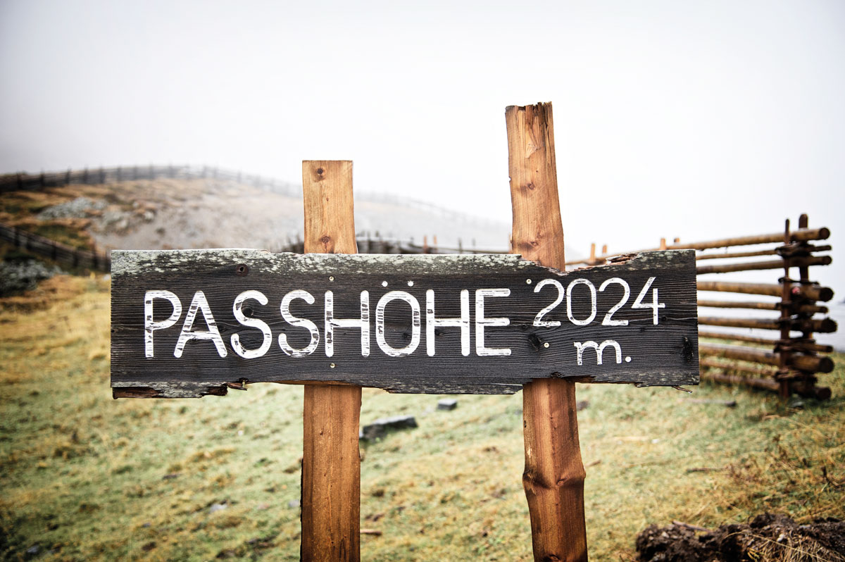 Alpine altitude