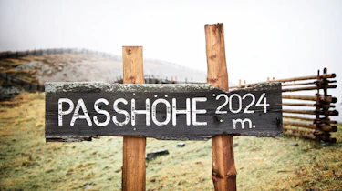 Alpine altitude