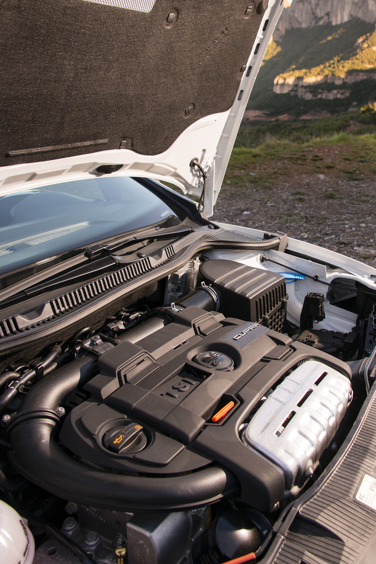2013 SEAT Ibiza Cupra 1.4 TSI twincharger engine