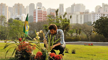 Ayrton Senna's grave