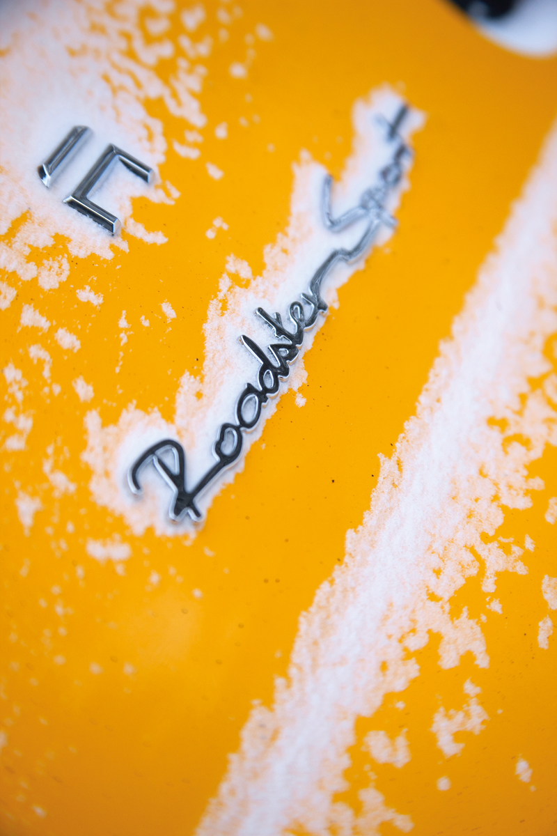 Tesla Roadster badge