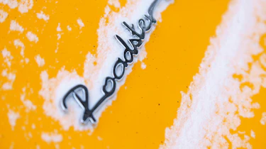 Tesla Roadster badge