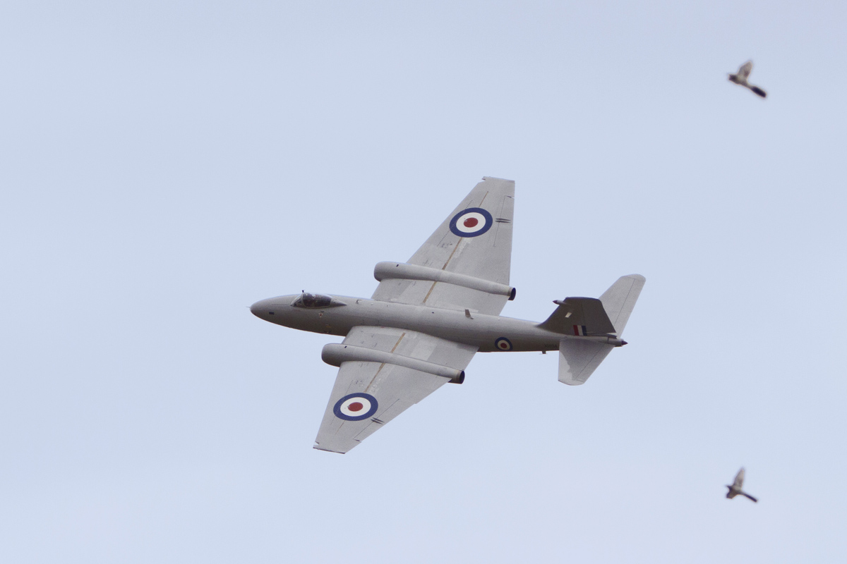 2013 Goodwood revival