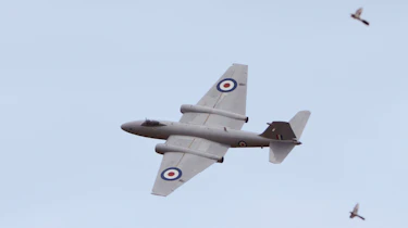 2013 Goodwood revival