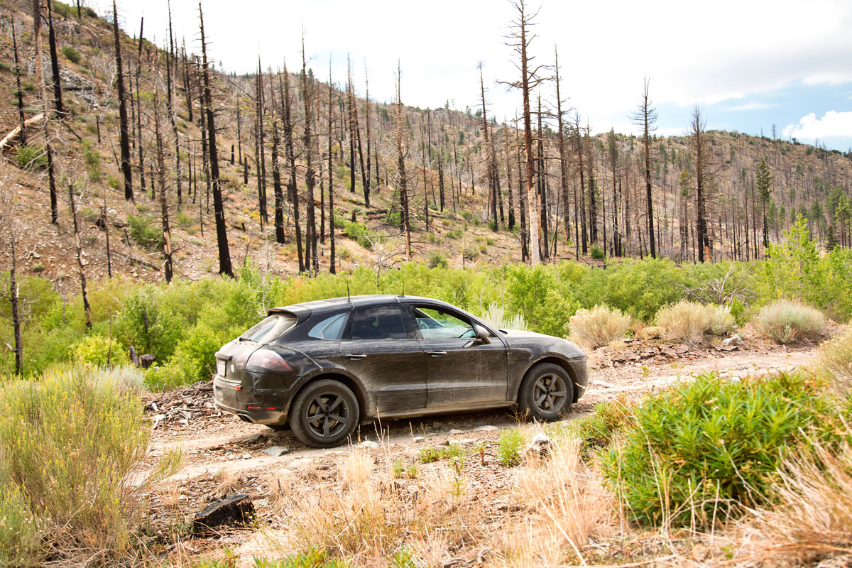 Porsche Macan SUV