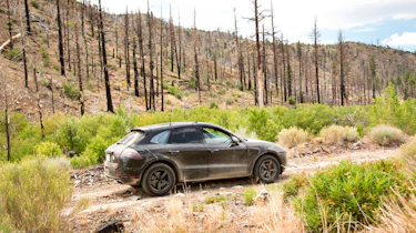 Porsche Macan SUV