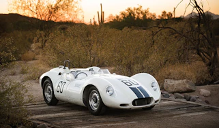 Lister Knobbly