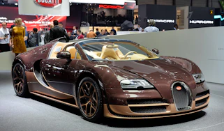 Bugatti Veyron Vitesse Rembrandt