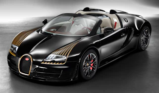 Bugatti Veyron 'Black Bess' edition revealed