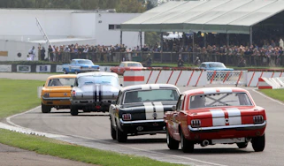 Goodwood Shelby cup