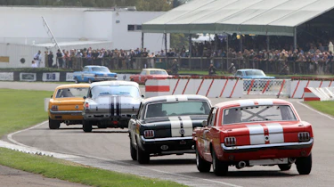 Goodwood Shelby cup