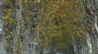 Infiniti G37S Coupe