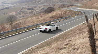 Lamborghini