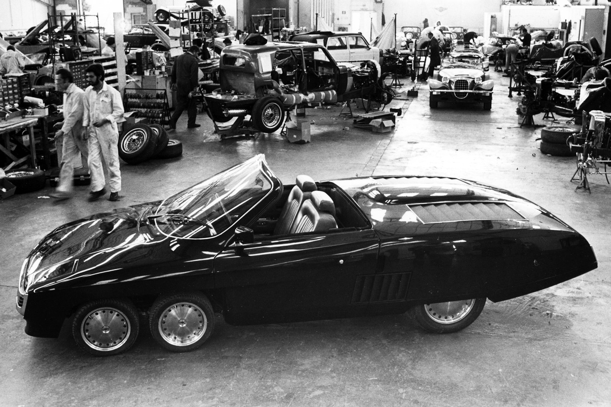 Panther Six