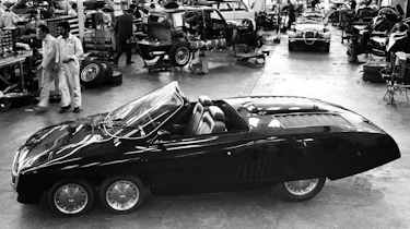 Panther Six