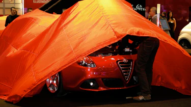 Alfa bonnet