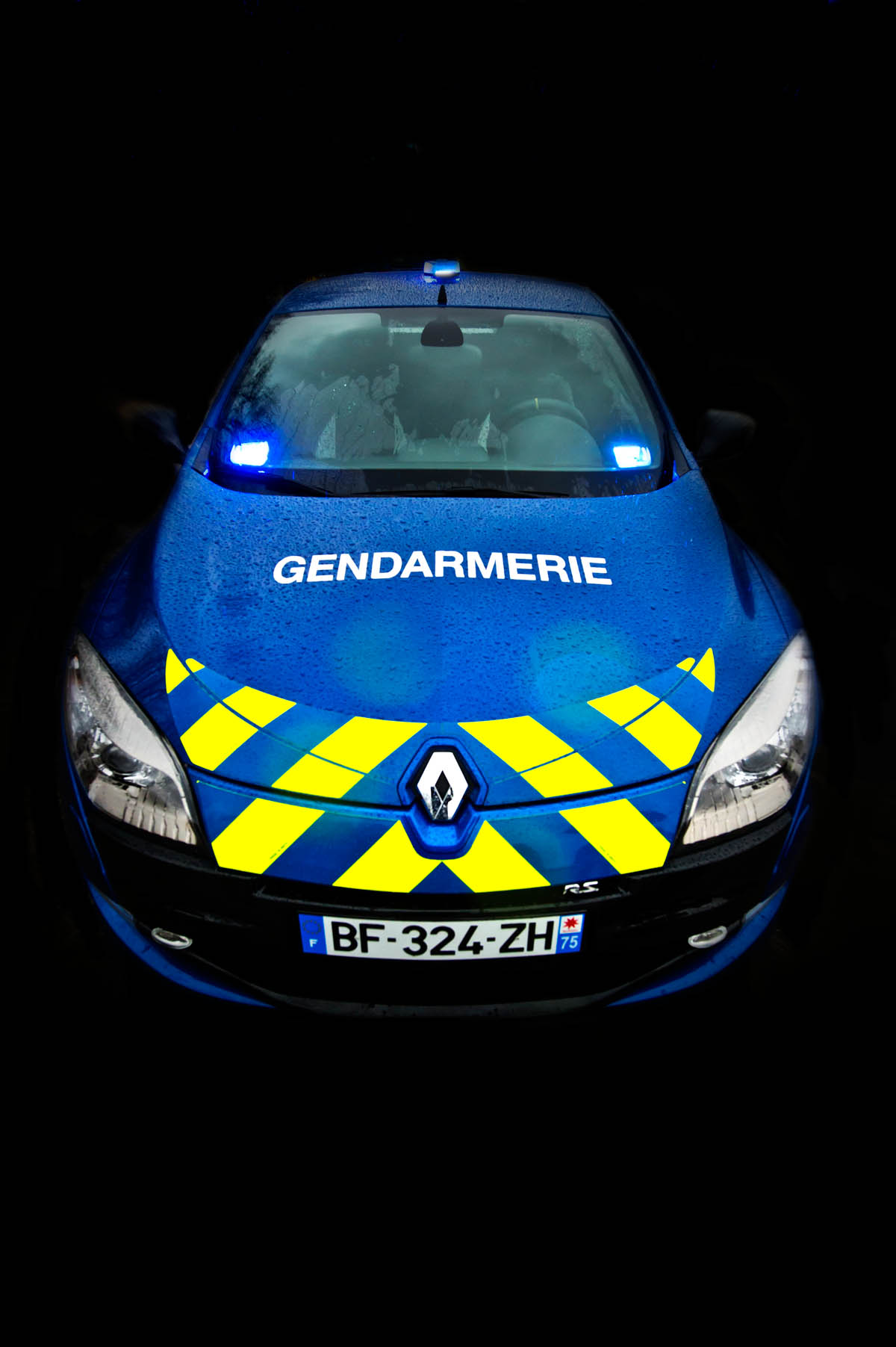 Police Renault Megane 250