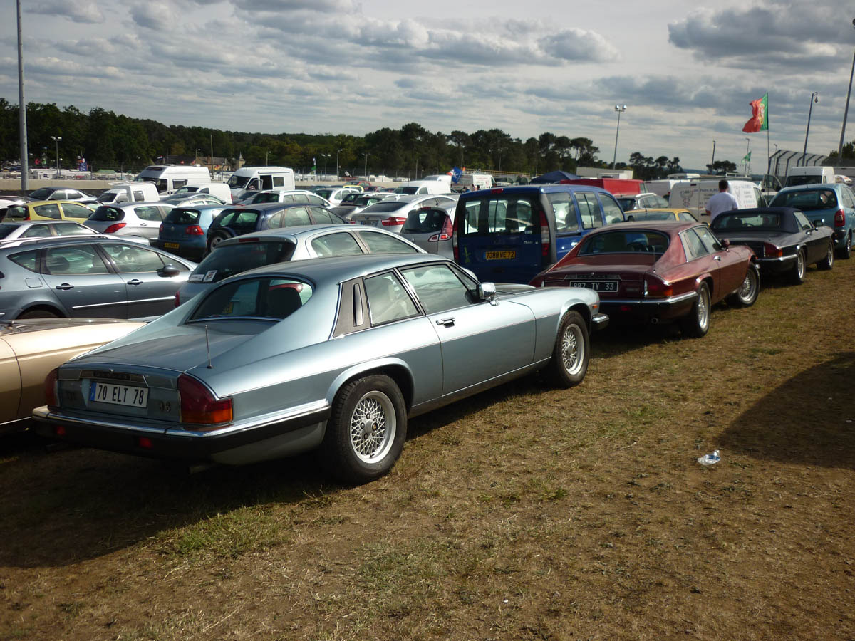 Jaguar XJS collection