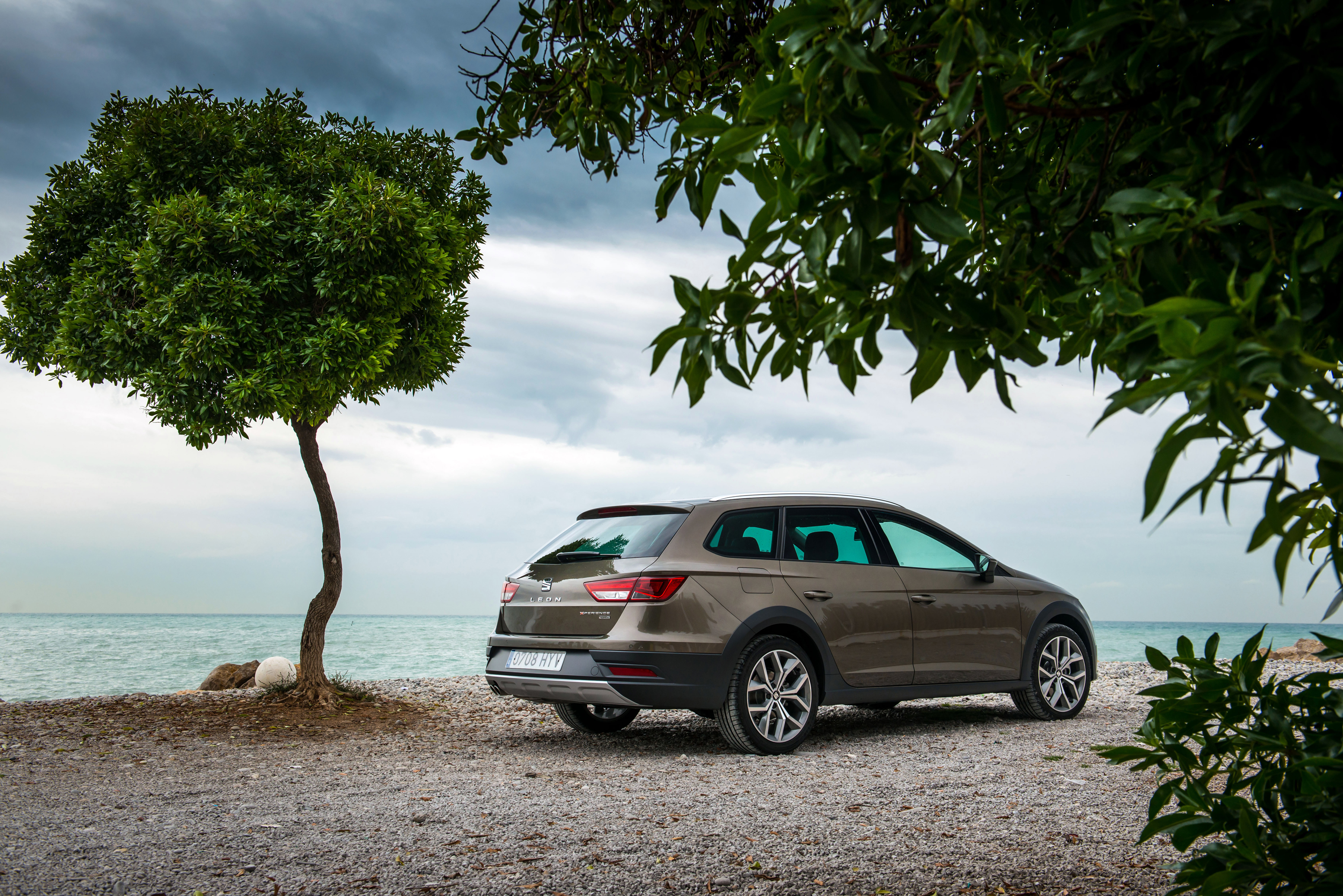 SEAT Leon X-perience rear three-quarters